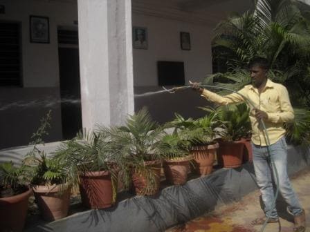 Spraying Pesticide