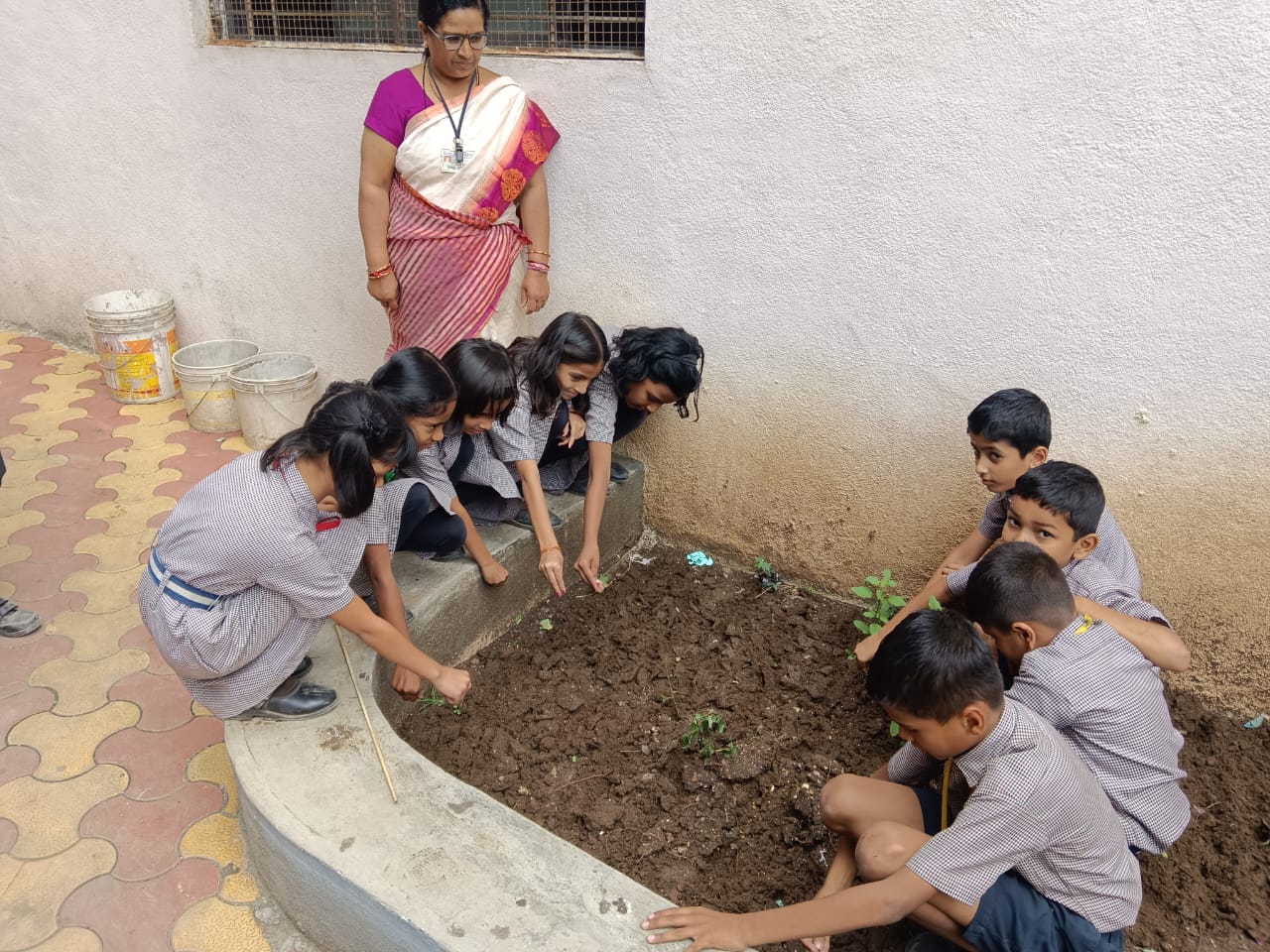 Sowing of fenugreek seeds by std III on 28.07.2025