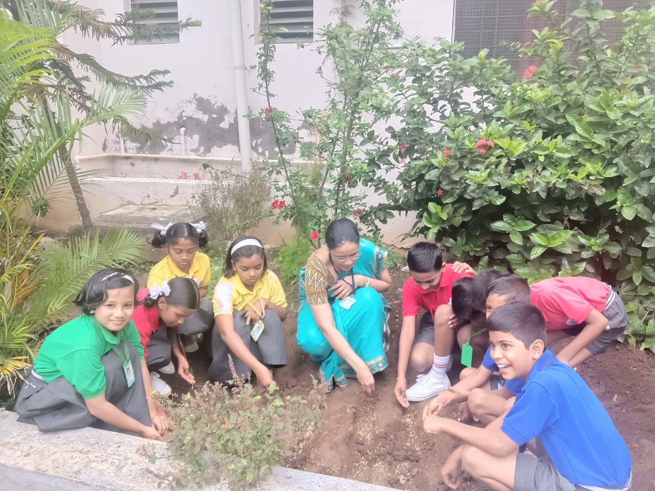 Sowing of coriander seeds by std IV on 30.07.2025
