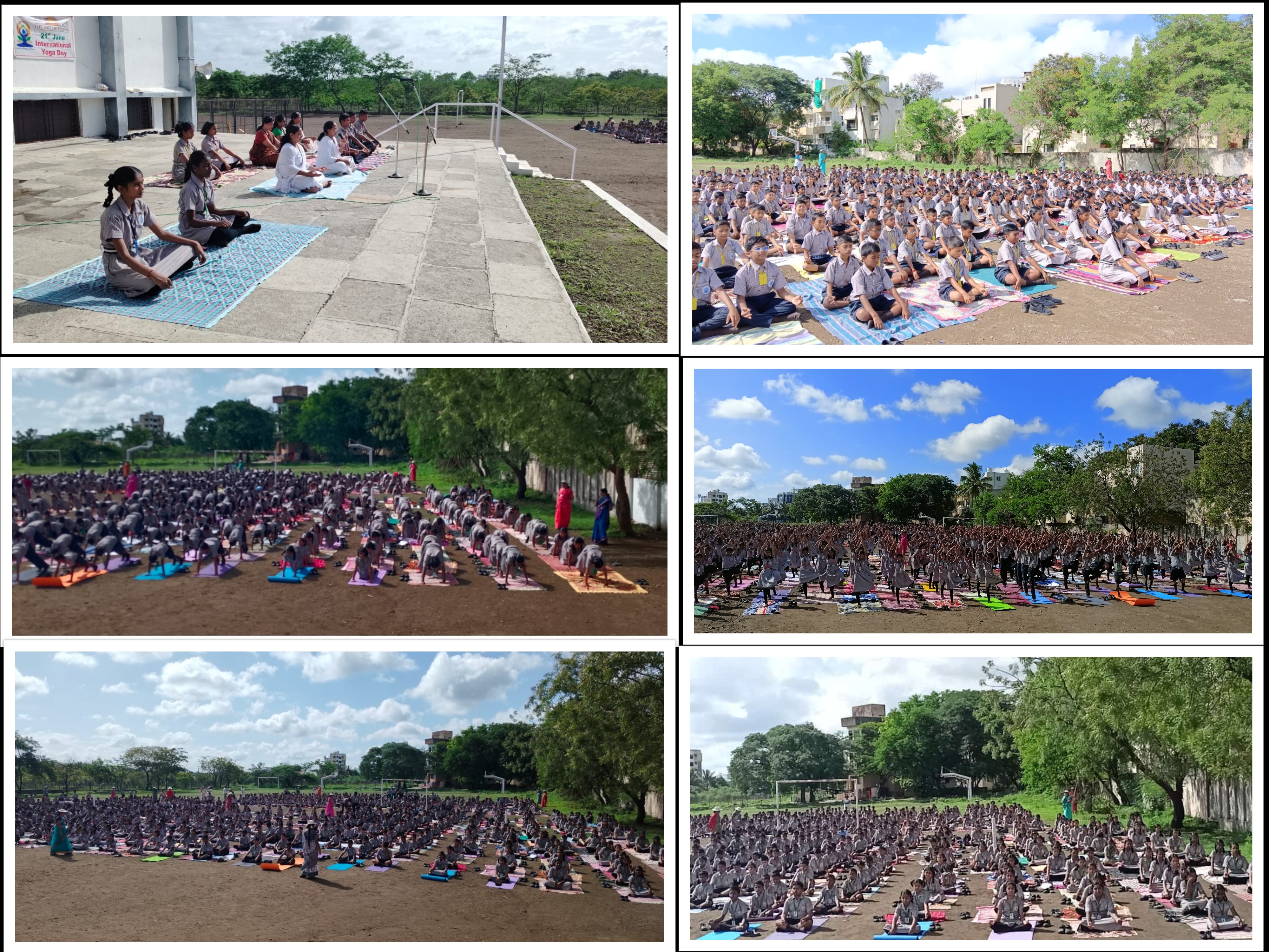 International Yoga day celebrated on 24.06.24