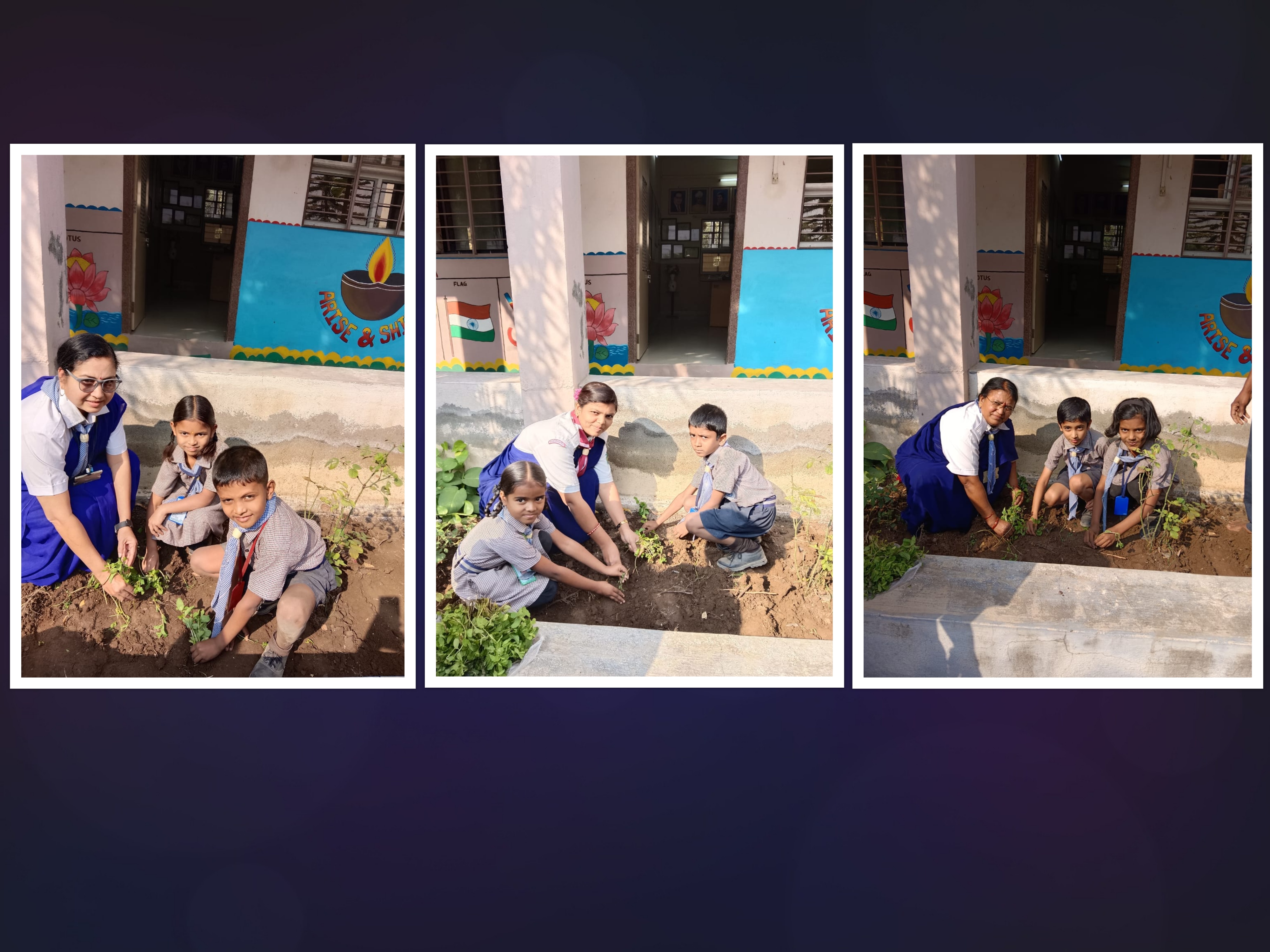 Sowing of mint seeds activity taken for II std. on 11.02.2025