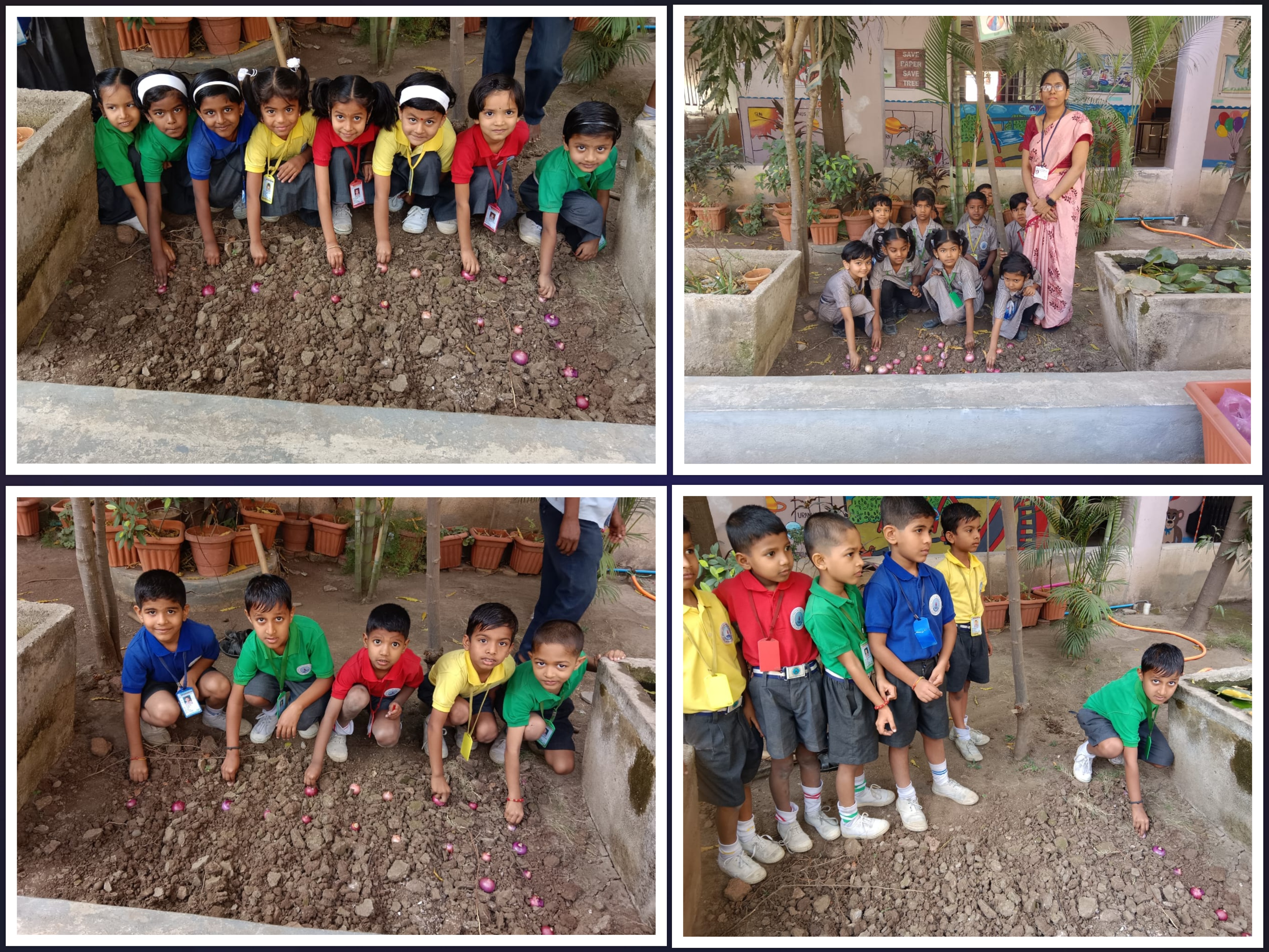 Onion bowing or cultivation activity taken for I std.