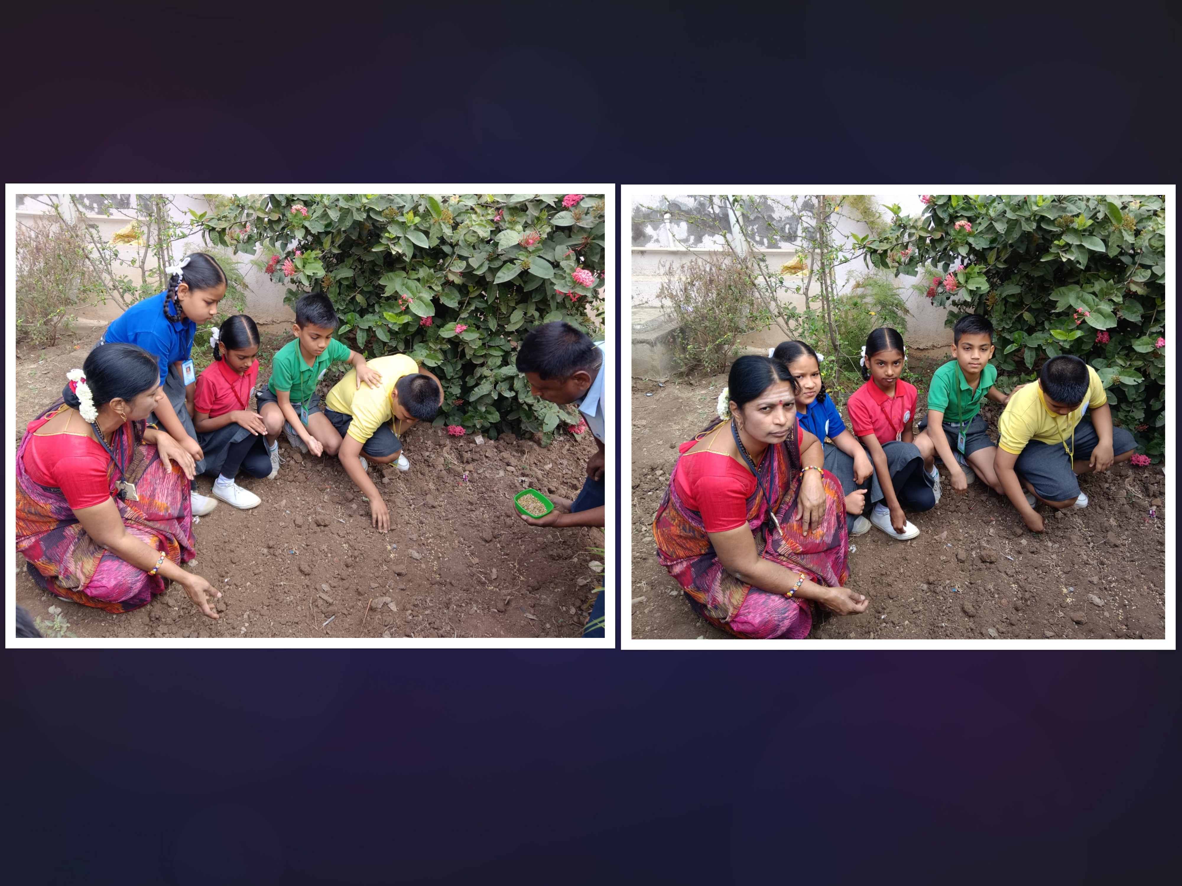 Sowing of Coriander seeds activity taken for IV std.